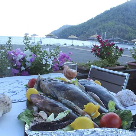 Hotel Ekincik منتجع 2*